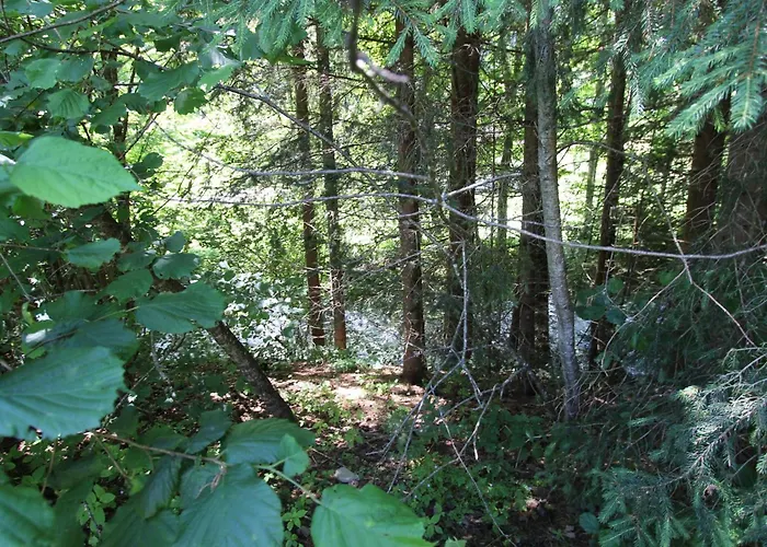 Mooshausl Dom wakacyjny *