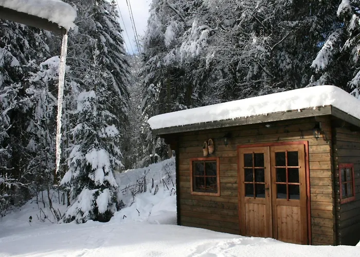 Mooshausl Dom wakacyjny *